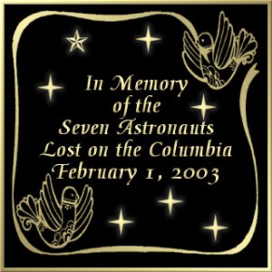In Memory of the Seven Astronauts Lost on the Columbia, February 1, 2003