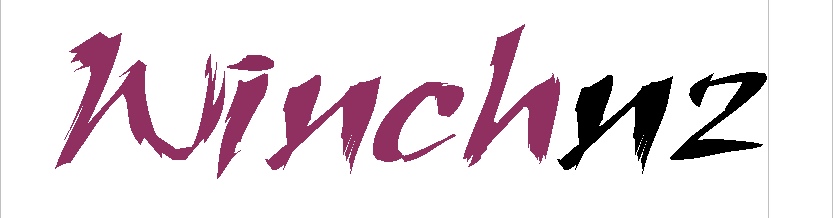 Winchnz_logo.jpg (35120 bytes)