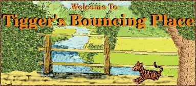 Welcome to Tigger's Bouncing Place