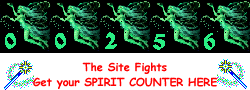 Site Fights Spirit Counter
