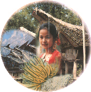 Gadis Toraja