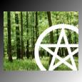 woods and wicca star