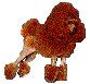 Red Toy Poodle