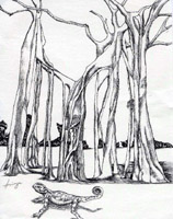 Tree & Lizard