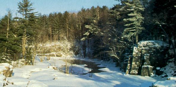 picturesque winter wonderland