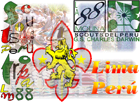 Grupo Scout La Molina 88 / Lima - Per