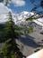 Trip to Mt. Rainier 8-21-00