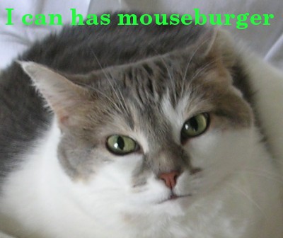 Cat: I can has mouseburger