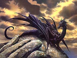 Black Dragon on a rock