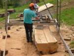 sawing macrocarpa  log