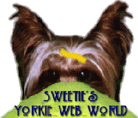 Sweetie's Yorkie Web World