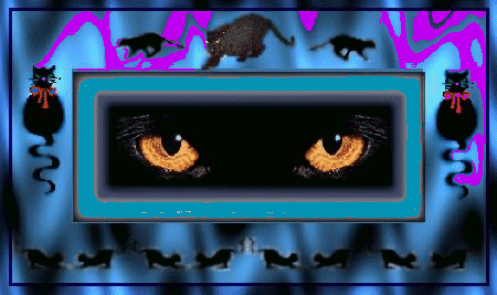 Cat Eyes-Catti-Tribe