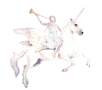 Unicorn Spirit Rider